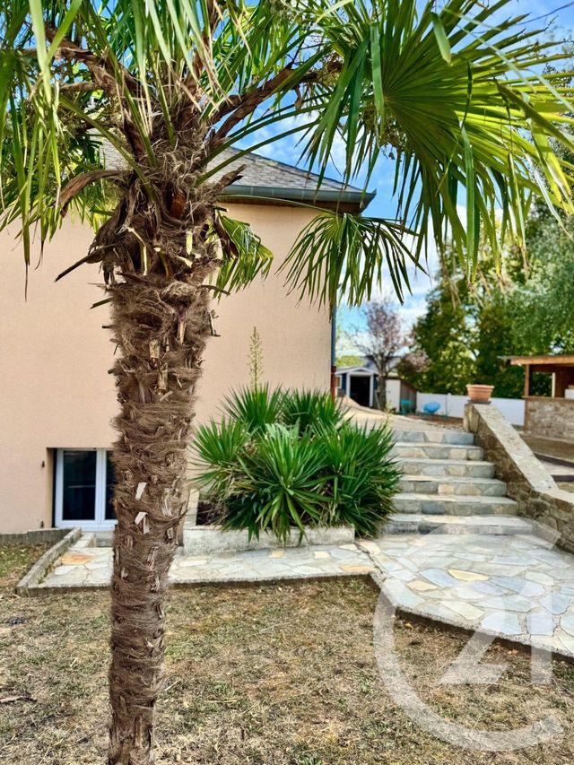 maison - LUC LA PRIMAUBE - 12